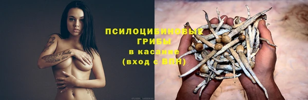 дурь Алексеевка